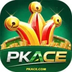 PKACE Game online earning Platform