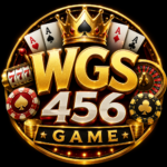 WGS 456 Game