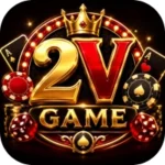 2V Game
